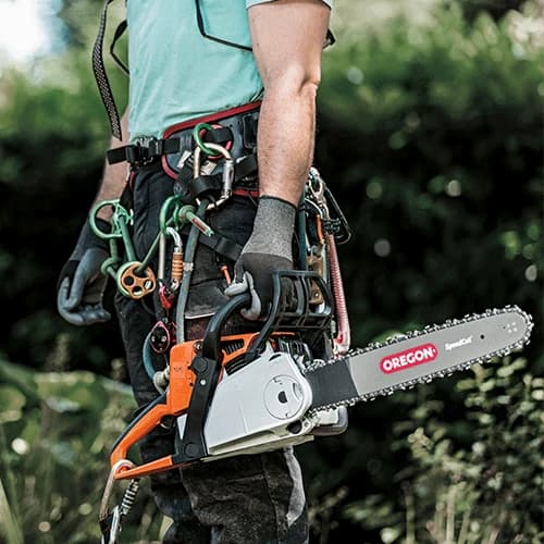 Field work with an Oregon saw